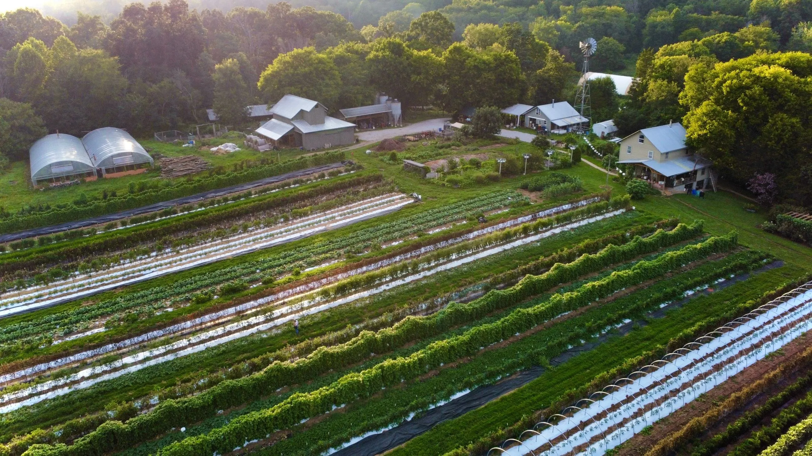 Kebun sayur dan rumah kaca dilihat dari udara saat matahari rendah